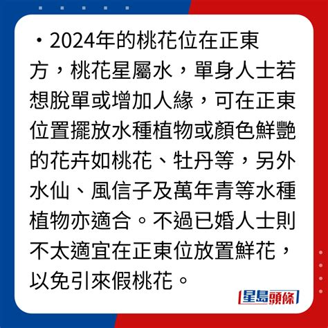 2024桃花位|2024龍年年花擺放位置一文看清！桃花放邊好？富貴。